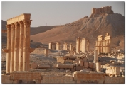 syria-2010-part2-palmyra-29