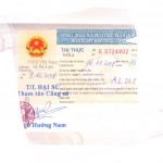 viz-viet3
