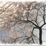 desktop_001