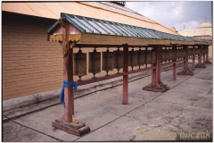 20050824-UB (11)