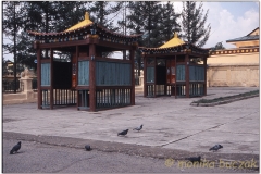 20050824-UB (8)