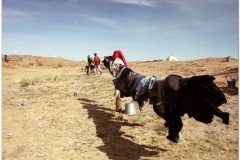 20050826-Karakorum CO (19)