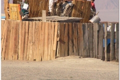 20050828-Gobi (11)