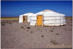 20050828-Gobi (12)