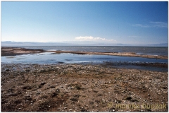 20050828-Gobi (20)
