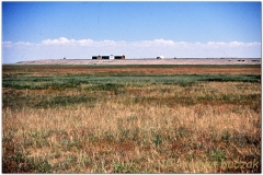 20050828-Gobi (21)
