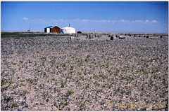 20050828-Gobi (22)