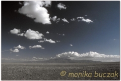 20050828-Gobi (36)