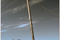 20050901-Bayanzag-Ongi (11)