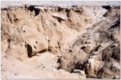 20050901-Bayanzag-Ongi (2)