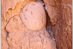 20050901-Bayanzag-Ongi (3)