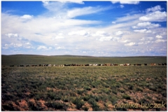 20050902-erdenedalay-Khukh Burd Sum (2)