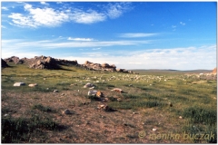 20050903-Manzshir (2)