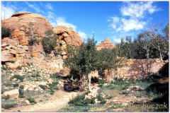 20050903-Manzshir (6)