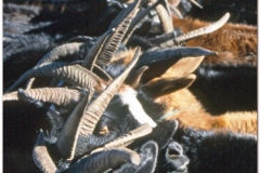 20050904-turk-kazach (25)