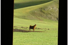 20050904-turk-kazach (40)