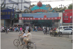 1_20060808-Xian-armia-neolit-32