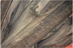 20060724-Pekin-16