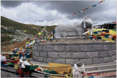 20060728-Basum-Tso-1