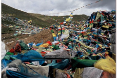 20060728-Basum-Tso-2