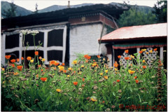 20060728-Basum-Tso-35