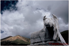 20060728-Basum-Tso