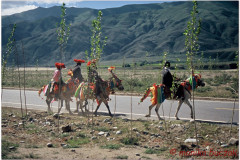 20060730-Gyantse-Kumbum-Shigatse-3