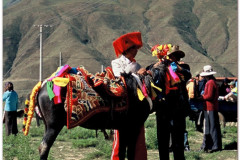 20060730-Gyantse-Kumbum-Shigatse-6