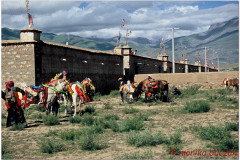 20060730-Gyantse-Kumbum-Shigatse-7