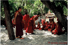 20060731-Lhasa-Potala-Sera-5