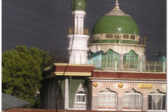 OLYMPUS DIGITAL CAMERA