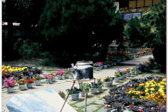 20060802-Lhasa-Palubuk-Museum-NorbuLingka-14