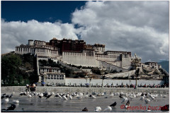 20060802-Lhasa-Palubuk-Museum-NorbuLingka-2