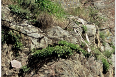 20060802-Lhasa-Palubuk-Museum-NorbuLingka-4