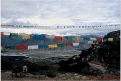 20060804-Lhasa-Ganden-2