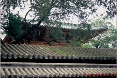 20060810-Shaolin-21