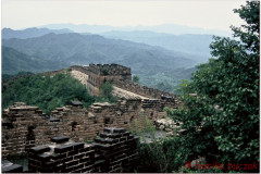 20060813-Pekin-mur-10