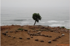 Peru 20070723 Lima (10)