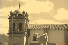Peru 20070725 Cuzco (25)sepia