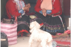 Peru 20070726 Sacred Valley (20)