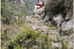 Peru 20070729 Machu Picchu (183)