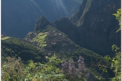 Peru 20070729 Machu Picchu (193)