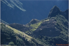 Peru 20070729 Machu Picchu (212)