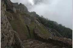 Peru 20070729 Machu Picchu (54)