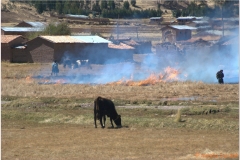 Peru 20070730 Cuzco-Puno (8)