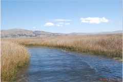 Peru 20070802 Titicaca (82)