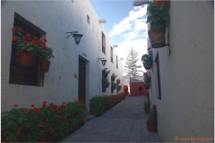 Peru 20070804 Arequipa (51)