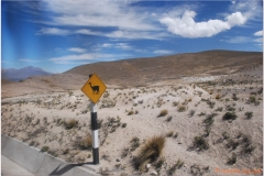 Peru 20070804 Puno-Arequipa (26)