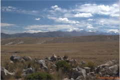 Peru 20070804 Puno-Arequipa (49)