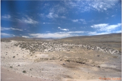 Peru 20070804 Puno-Arequipa (9)